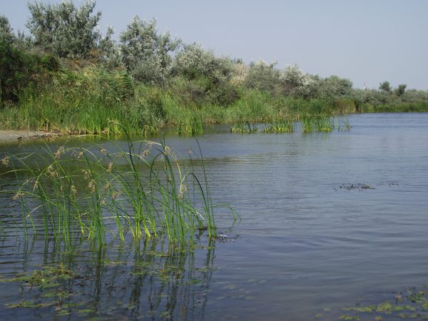 Sulina 2016 (foto by Bogdan Dragomir)