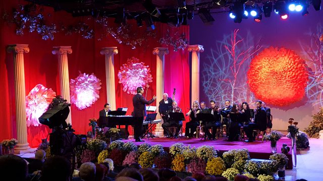 Orchestra "Dor Românesc" dirijată de Ştefan Cigu la Festivalul Crizantema de Aur 2017 (foto by Bogdan Dragomir)